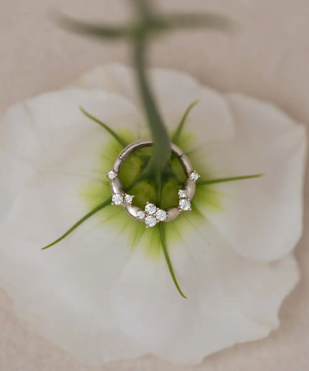 Daith Piercing Weißgold auf einer Blume